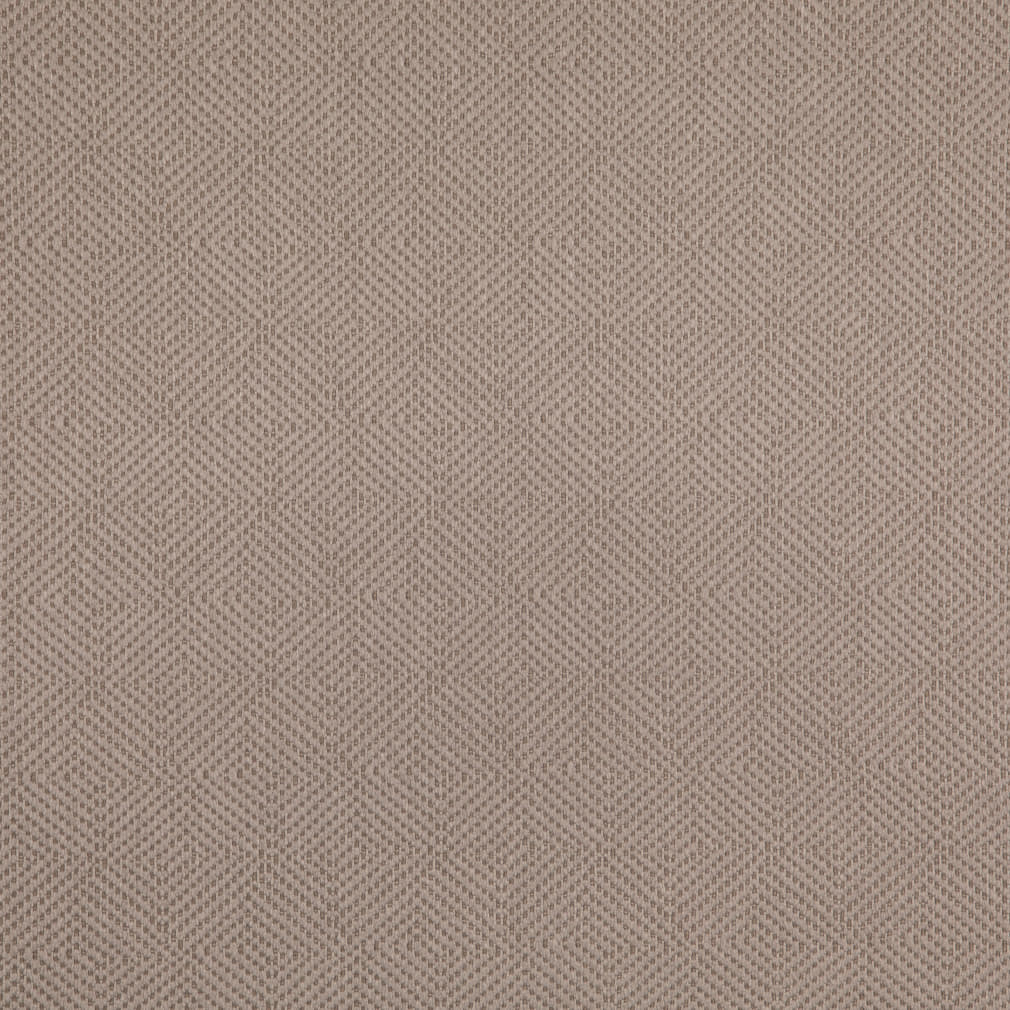 Charlotte Fabrics D5024 Dove