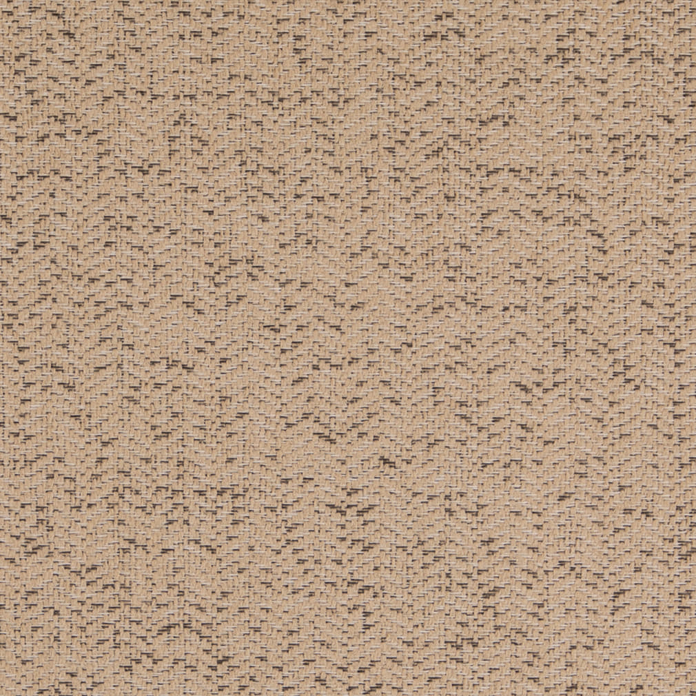 Charlotte Fabrics D5139 Abalone