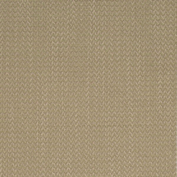 Charlotte Fabrics F300-277