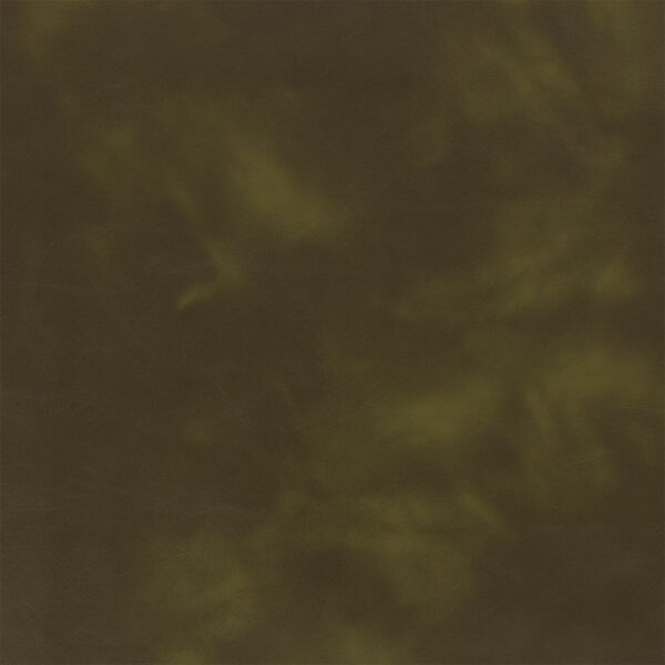 Greenhouse Fabrics F5993 Forest upholstery fabric swatch for sample-first furniture planning