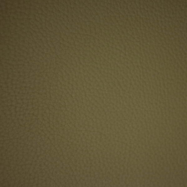 Greenhouse Fabrics F6668 Aloe upholstery fabric swatch for sample-first furniture planning