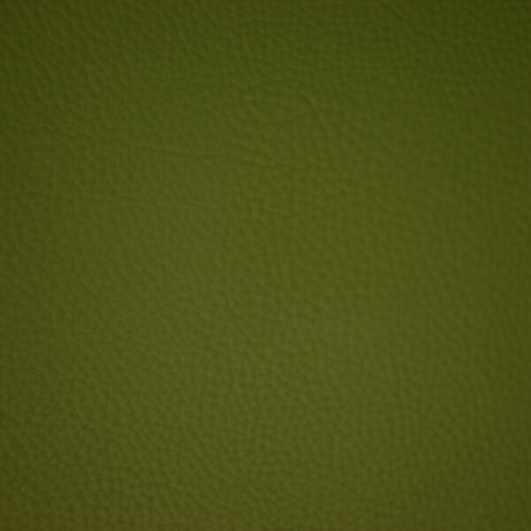 Greenhouse Fabrics F6669 Forest upholstery fabric swatch for sample-first furniture planning