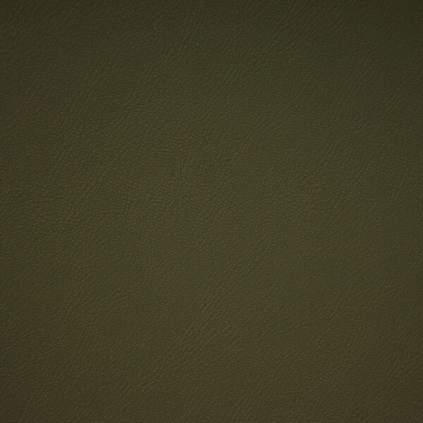 Greenhouse Fabrics F6670 Grass upholstery fabric swatch for sample-first furniture planning
