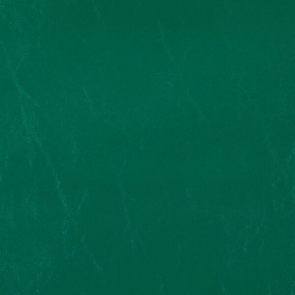 Charlotte Fabrics V1022 Parrot