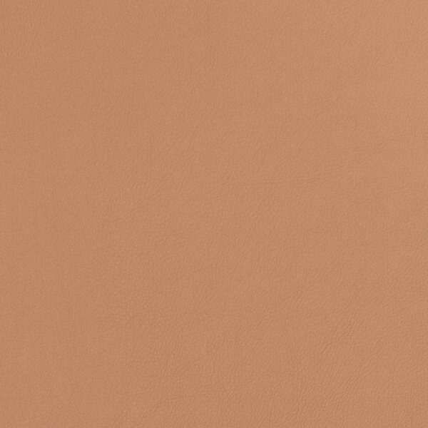 Charlotte Fabrics V810 Caramel