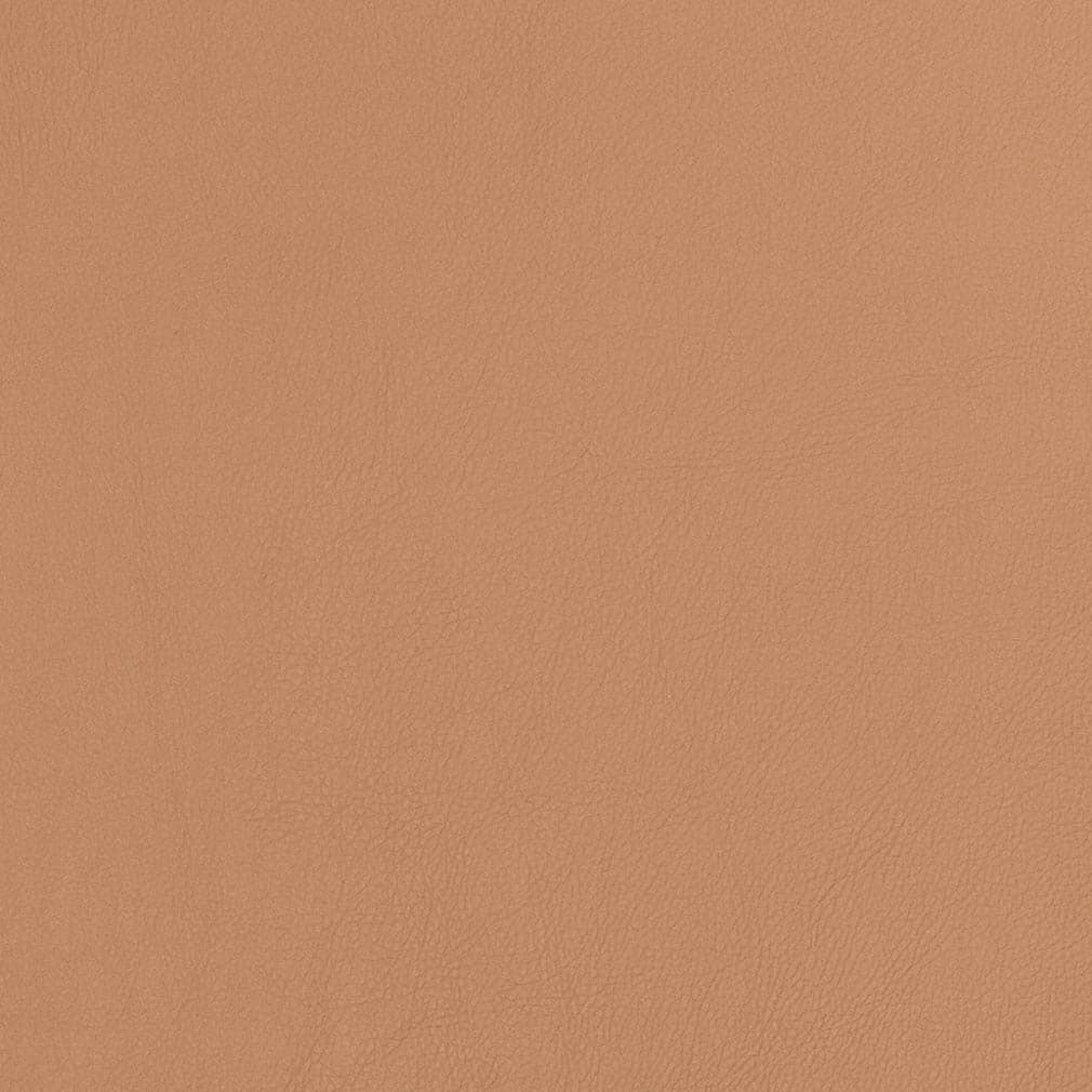 Charlotte Fabrics V810 Caramel