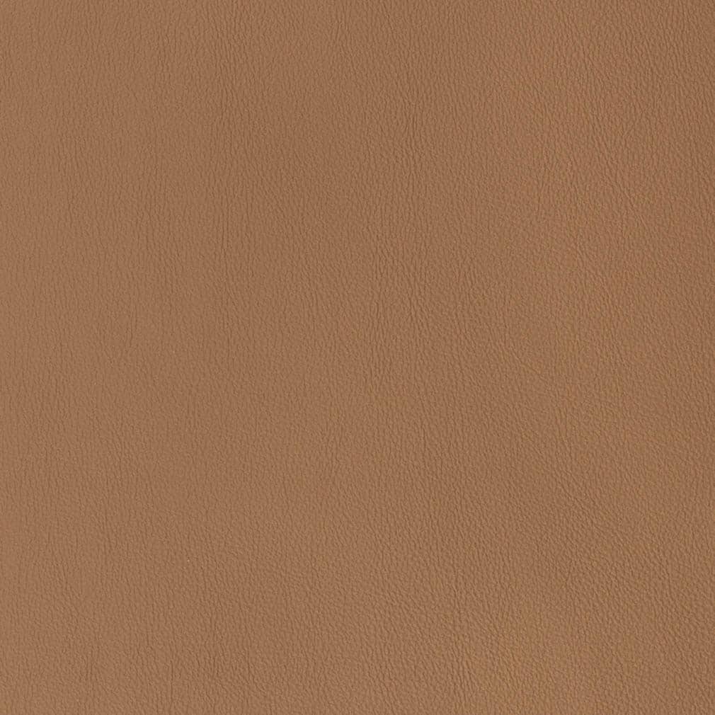 Charlotte Fabrics V813 Acorn
