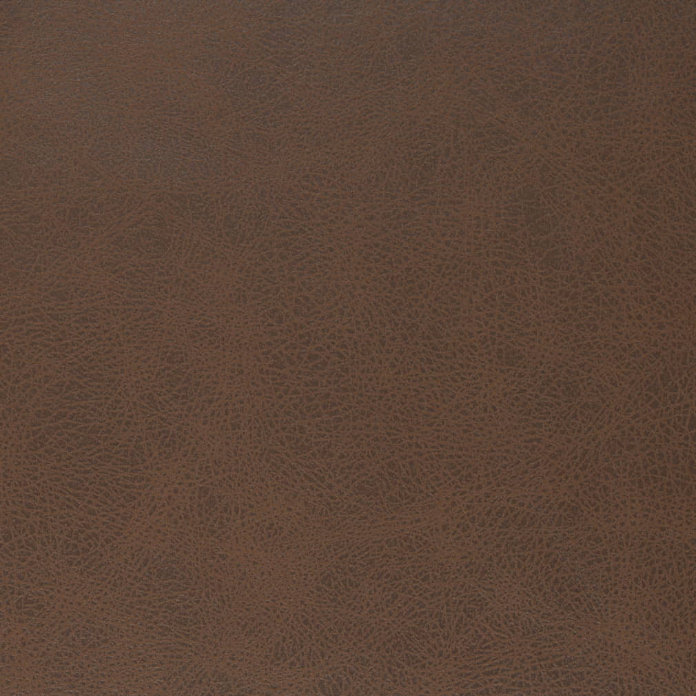 Charlotte Fabrics V855 Hickory