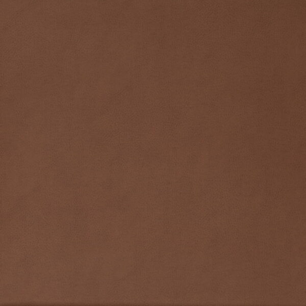 Charlotte Fabrics V861 Rust