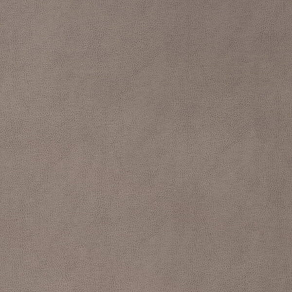 Charlotte Fabrics V864 Slate