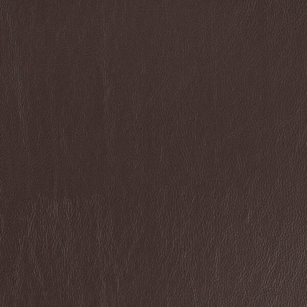 Charlotte Fabrics V928 Earth