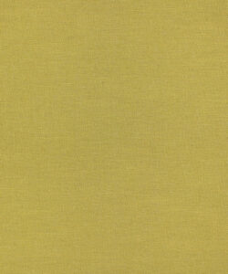 Arran Arran-11204 upholstery fabric swatch