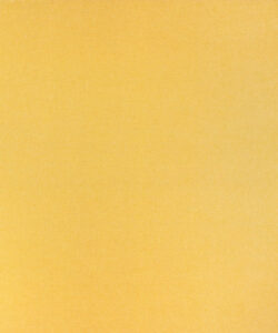 Afton Afton-41205 upholstery fabric swatch