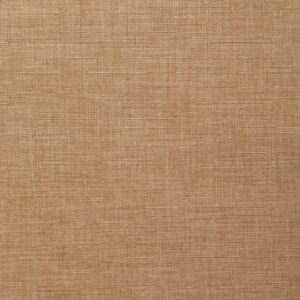 Passport 69 Raffia upholstery fabric swatch